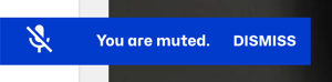 Mute indicator