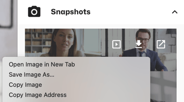 Snapshot Save Image