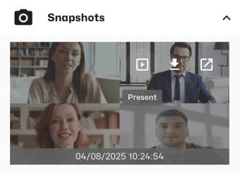 Snapshot Present