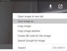 Screenshot of Save image as... menu