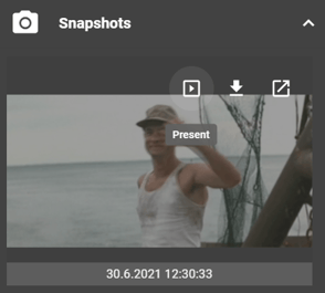 Screenshot of Snapshot Present Button