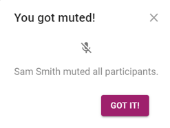 Once you get muted, you will receive this notification