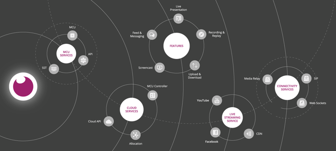 Abbildung: realtime-eyeson System 